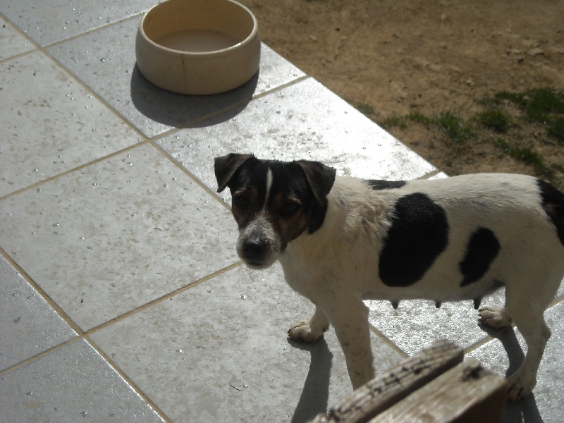 Bimbo des Gardiens d'Athis