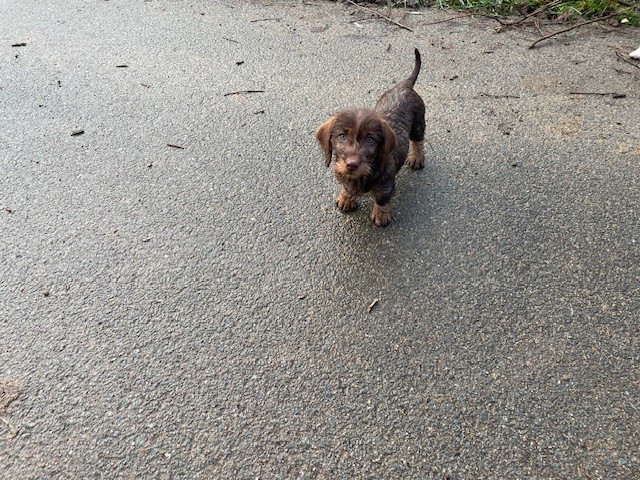 asse des garennes de l'aprat