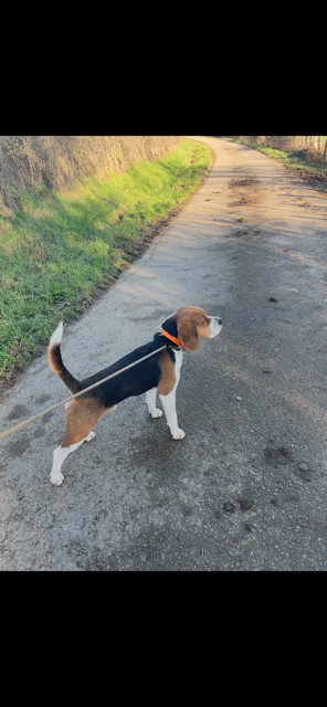 r'james de l'antre des jacks