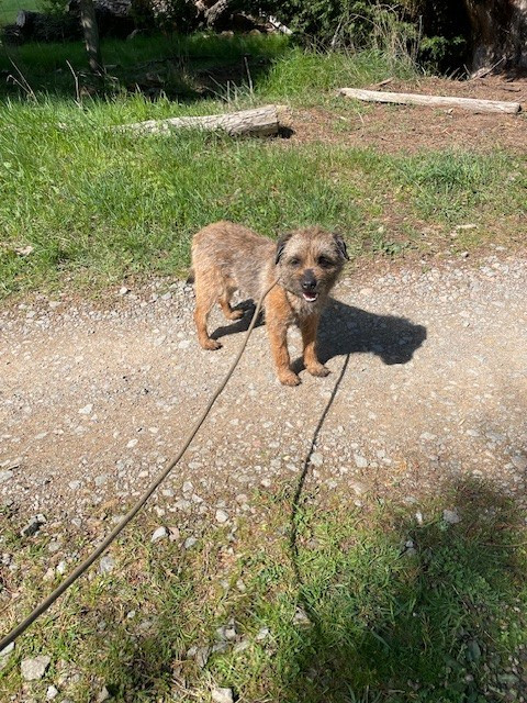 tic tac White white west