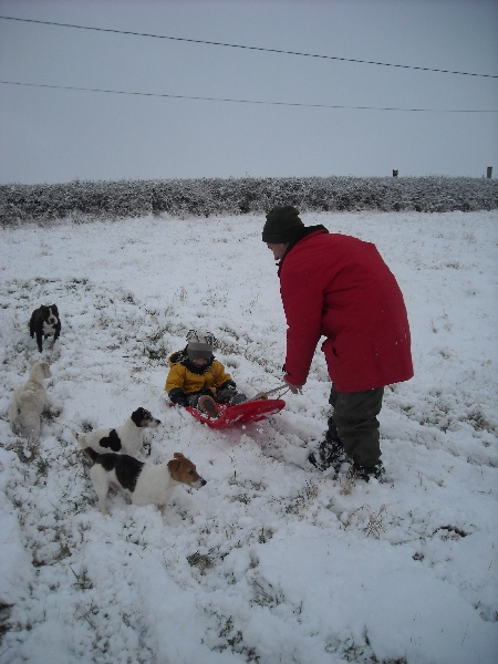 Nos chiens en sortis